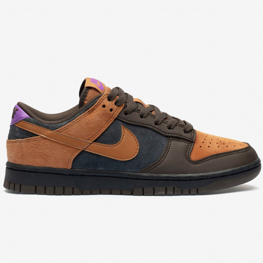 Tênis Nike Dunk Low Retrô Prm